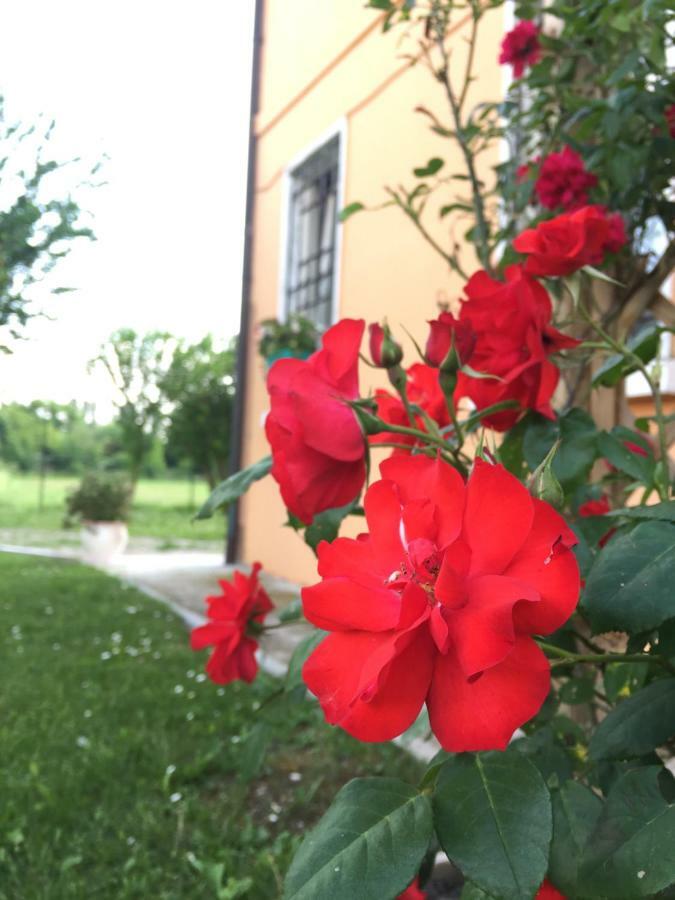 Il "Green " In Giardino Ferrara Ngoại thất bức ảnh