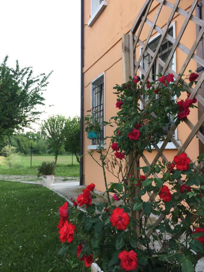 Il "Green " In Giardino Ferrara Ngoại thất bức ảnh